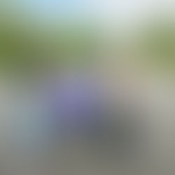 Ibu Bekerja, Anak Didera: Rakaman CCTV Dedah Perbuatan Penjaga