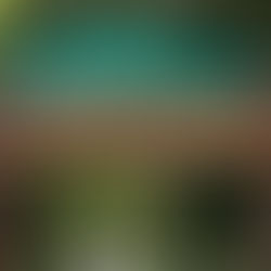 Kinabatangan Night Safari and Orangutan Rehabilitation Centres Featured in Agoda’s Top Picks for Jungle Safari Destinations in Asia 