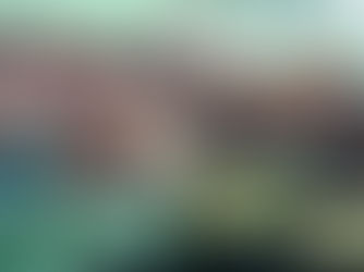 RM2 Million Channelled to Smallholders in Pitas