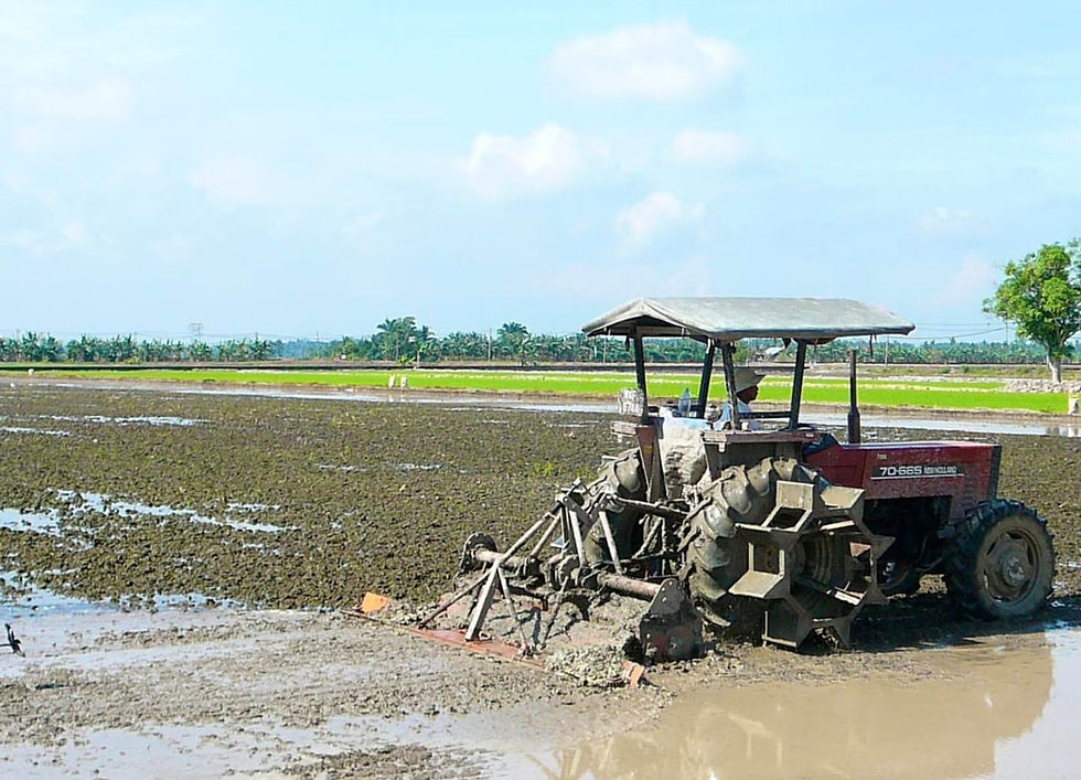Pesawah diberi pendahuluan RM200 sehektar insentif bajak