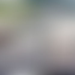 Kerajaan laksana inisiatif penjanaan solar di bumbung bangunan mulai 1 Januari