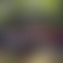 UCSF laksana 14 Program Khidmat Masyarakat Sepanjang 2025