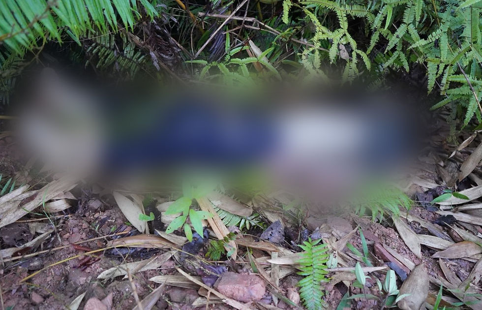 Mayat Ditemui Di Cerun Jalan Tulid-Tongod