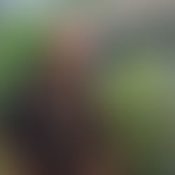 Sabah First : The UPKO Struggle