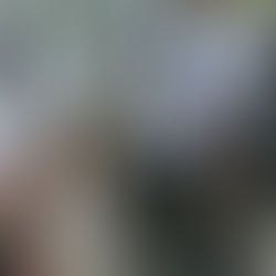 Murid tidak lagi wajib pakai tali leher mulai tahun depan