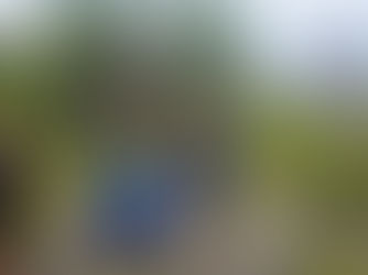 Operasi SAR Hari Kedua Lelaki Hilang di Hutan Beluran Diteruskan