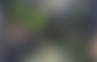 Lelaki Warga Asing Ditahan Di Tawau Disyaki Pecah Rumah