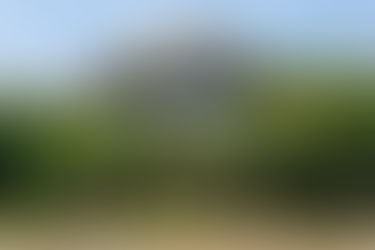 Mengaku Salah Miliki Kayu Bakau Tanpa Cukai