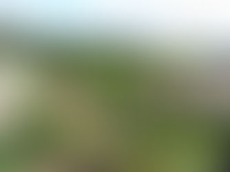 Enam musim padi musnah, pesawah Piasau desak campur tangan kementerian