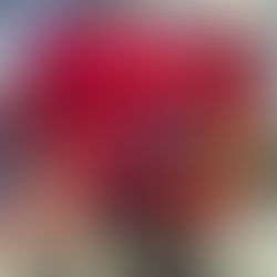 Operation CLAW: Local Man Nabbed for Selling Protected Wildlife Parts 