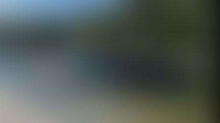 Bot Pam Ditahan Selepas Cuba Seleweng Barang Kawalan