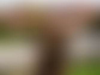 Stefanus Lucas Wins RM50,000 RISE Educator Award Grant for SK Pendidikan Khas (P) Kota Kinabalu