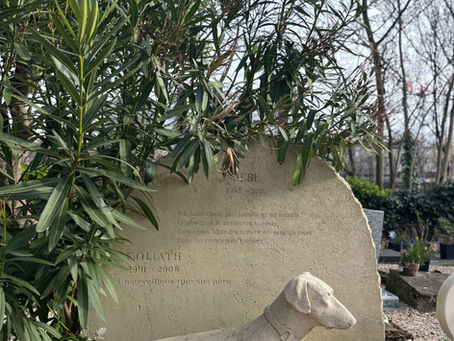 Les cimetières animaliers