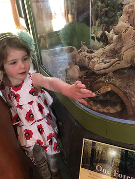 A girl wearing a pink and white dress and blue headband points to a snake through a glass cage