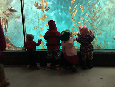 Four young kids are looking at the fish in the reptile and amphibian exhibit