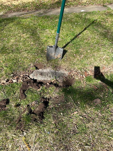 A giant rock remains buried in the yard while a shovel stands in the dirt next to the rock. a shadow of a phone is seen in the corner