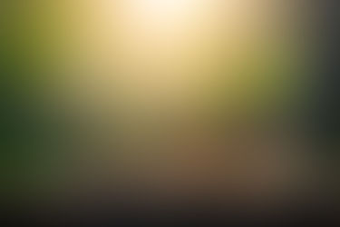 Economic impact of BIO-SIL®