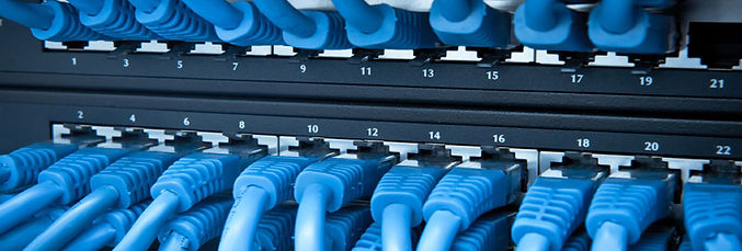 voice-data-banner.jpg