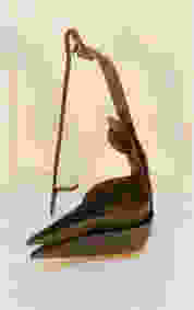 Crusie Lamp