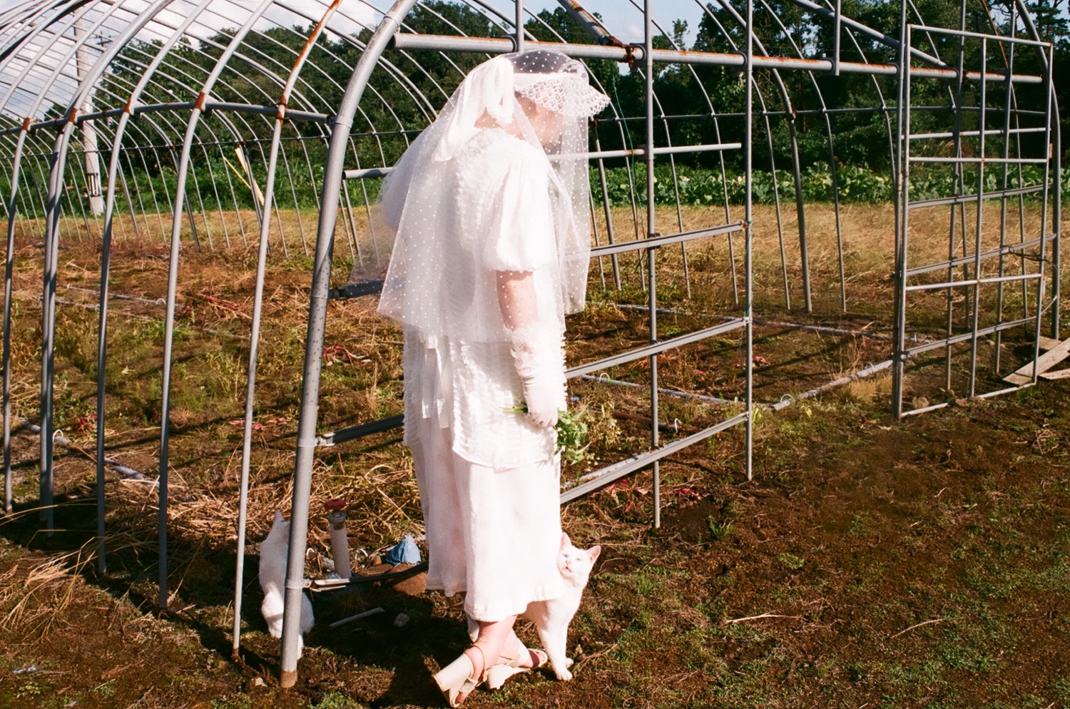 執筆者の写真: NATSUMI CHIDA