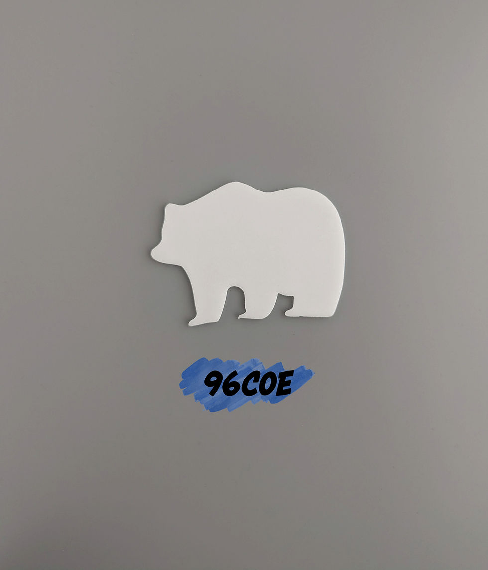 Picture of bear standing