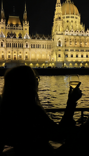 1 hour Danube Cruise w. Unlimited Drinks