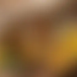 Unlocking the Healing Power of Human Touch: The Science of Massage Therapy for Body and Mind