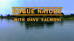 Rogue Nature_Dave Dalmoni