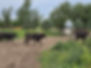 20240604_100847.jpg