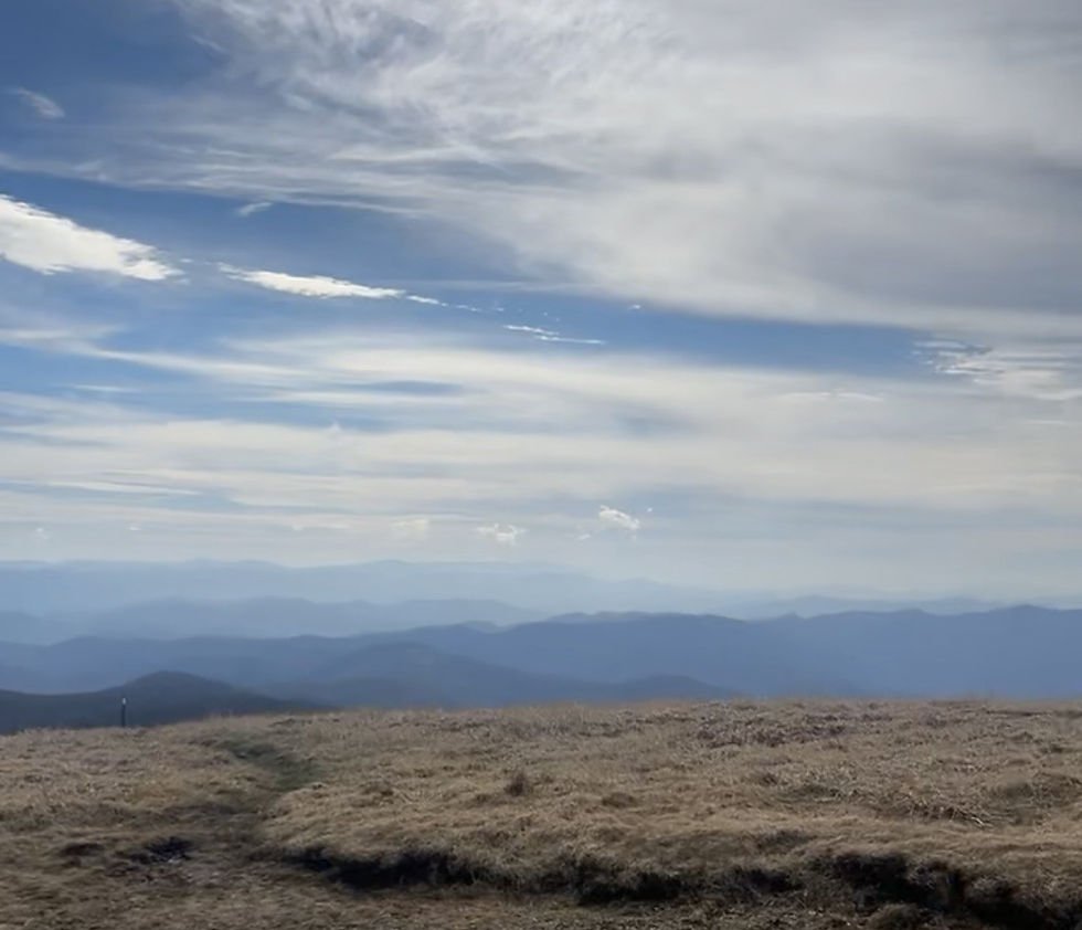 Why You Should Buy Your Next Home in Madison County, NC