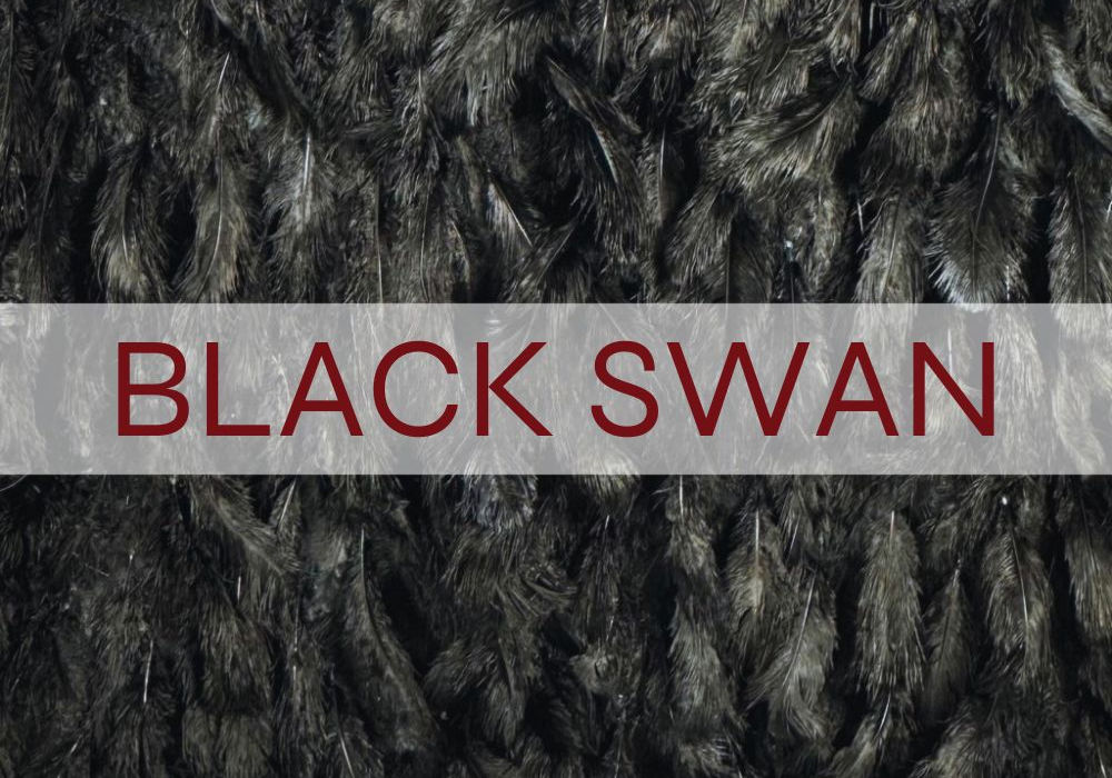 WB Flora ścianka kwiatowa BLACK SWAN luksusowa kompozycja w odcieniach
głębokiej, strukturalnej czerni, stworzona z myślą o
nowoczesnych i nietuzinkowych aranżacjach eventowych.