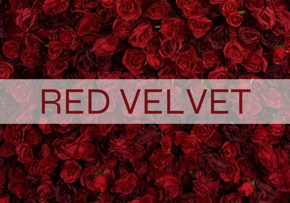 WB Flora ścianka kwiatowa RED VELVET zbudowana z gęsto tkanych, aksamitnych róż w odcieniach głębokiej, pasjonującej czerwieni.