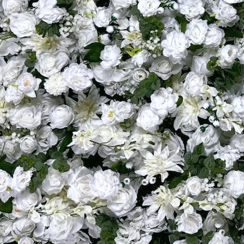 Ścianka kwiatowa White Roses WB 003