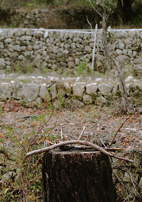 DSCF4842.JPG