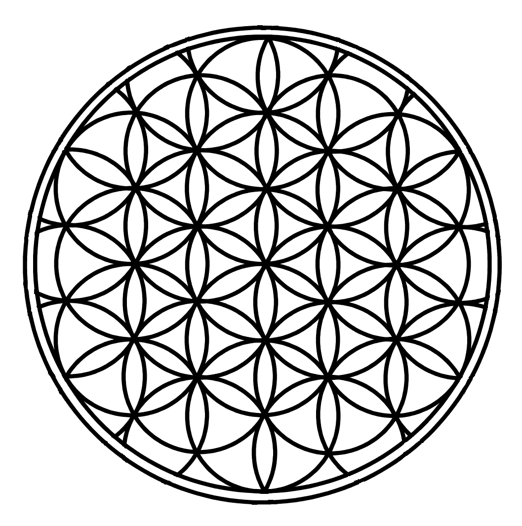 floweroflife2.gif