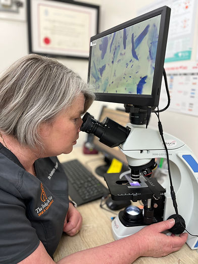 Itchy-pet-vet-microscope.jpg