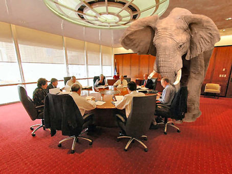 Minda Caesar wants to start a "public conversation" about SBEF, other NPOs; Board agrees completely.