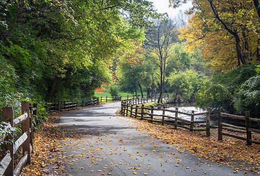 Contact-Us-Lehigh-Valley-Back-Road-Winding-Around-Trees-and-a-Fence.jpeg