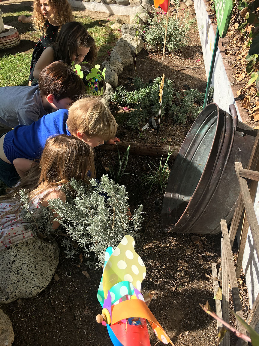 Preview Days Sunnyside School Hou