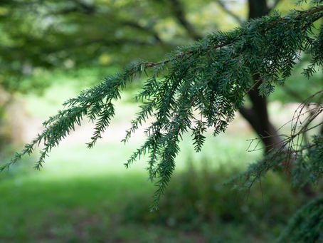 Seasons change, breath comes and goes...presence