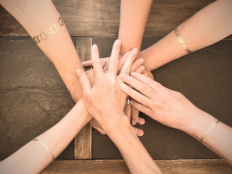 Termly Classes go live !