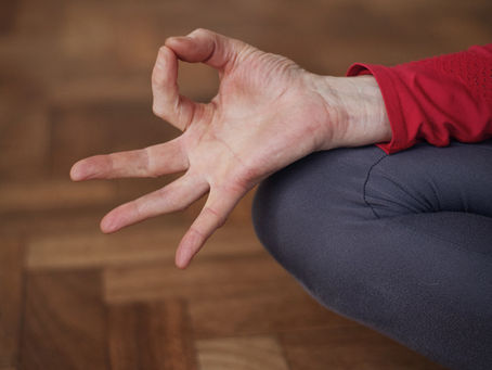 Yin and Nidra grows to be In Person and Online
