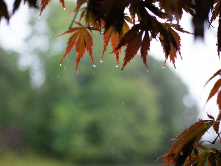 Move with the seasons