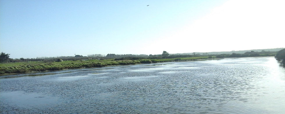 Photo0393_edited.jpg