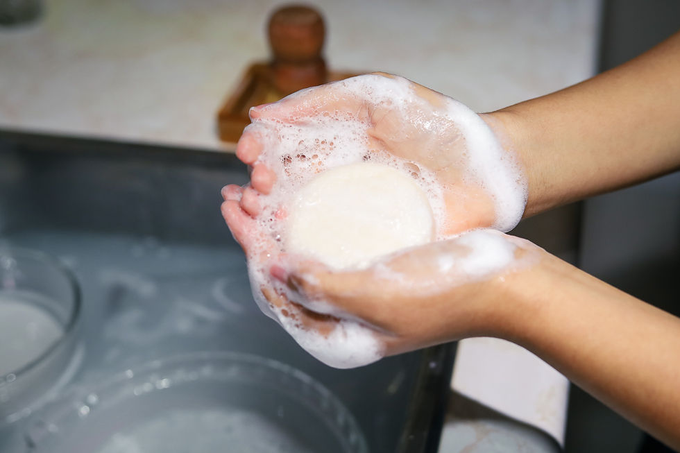 Thumbnail: Unscented | Solid Dish Shampoo