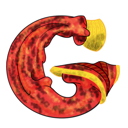 G - Rani