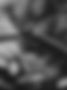 cb46b640-4c97-4095-8b3c-86d912631fbb.jpg
