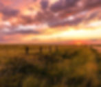 Firefly_GeminiFlash_Change the sign from FINNUP to IRSIK 5602_edited.jpg