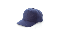 5225_250.gif