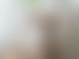 Tu Perro No Es "Malportado": Hablemos de la Ansiedad Canina Que Nadie Ve